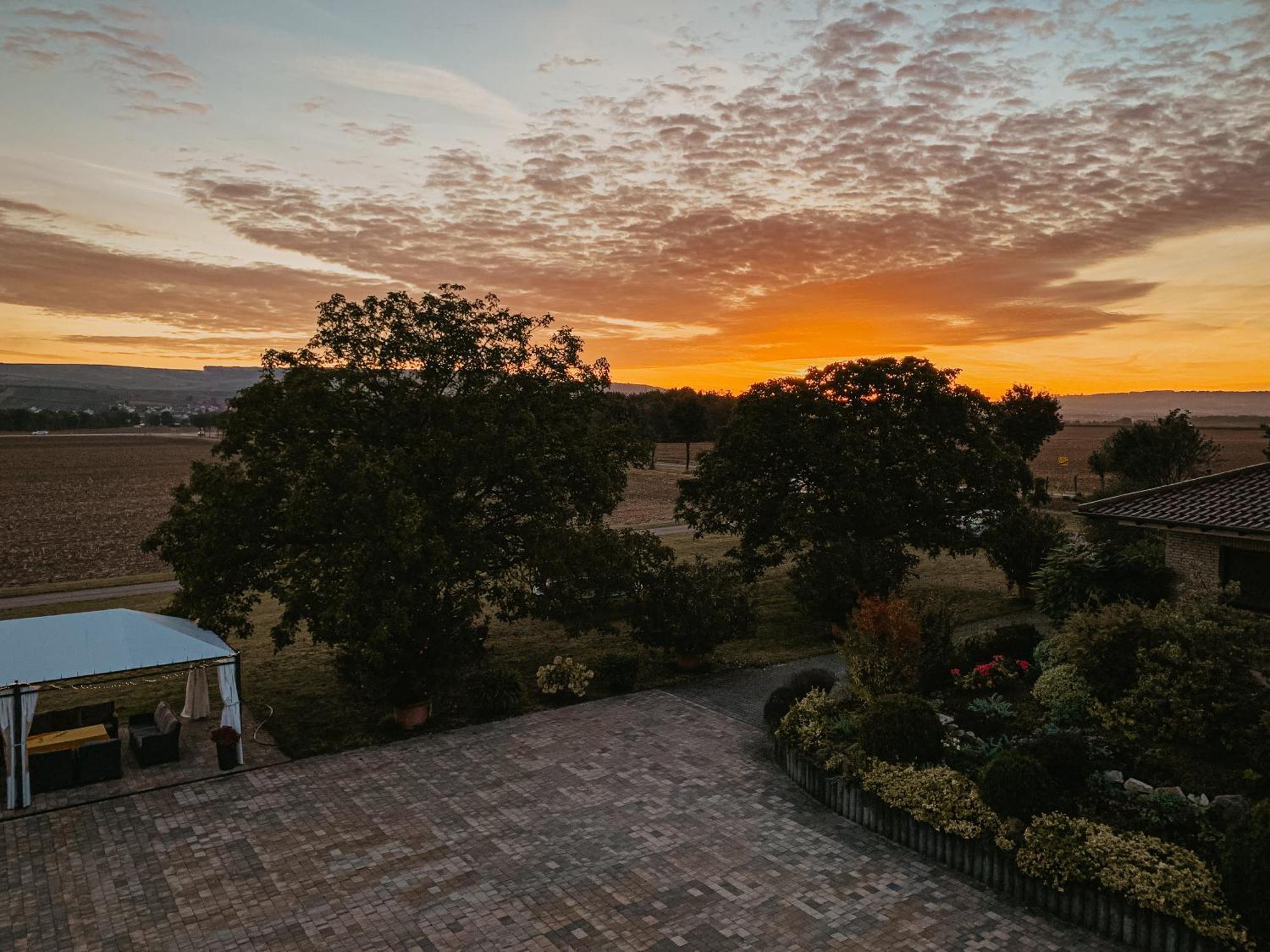 Weingut U. Gaestehaus Vogt-Fehlinger Biebelsheim Екстериор снимка